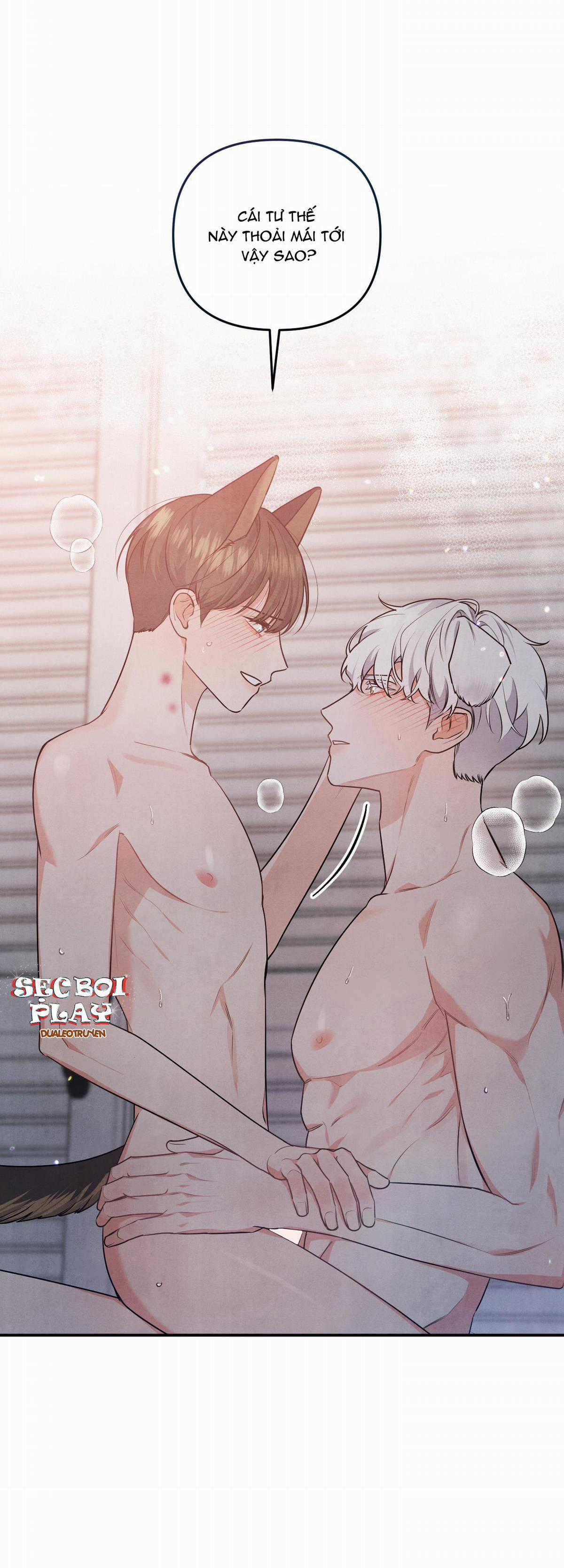 Mối Quan Hệ Giữa Chó Và Cún Chapter 16 trang 0