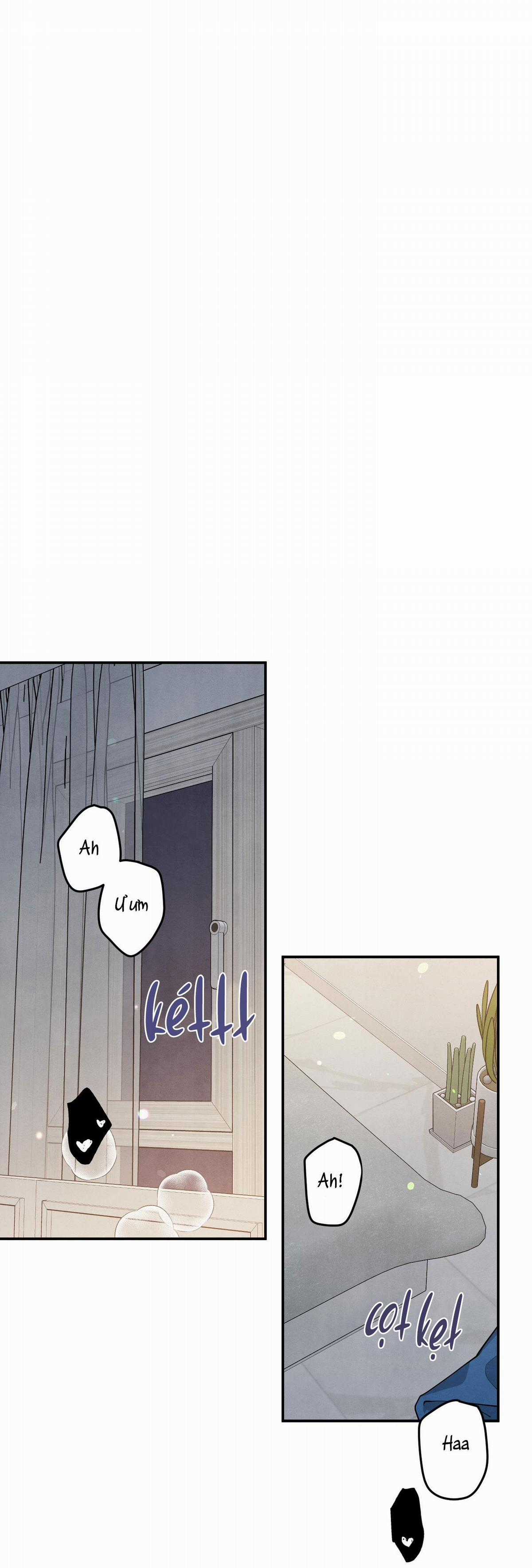 Mối Quan Hệ Giữa Chó Và Cún Chapter 36 trang 29