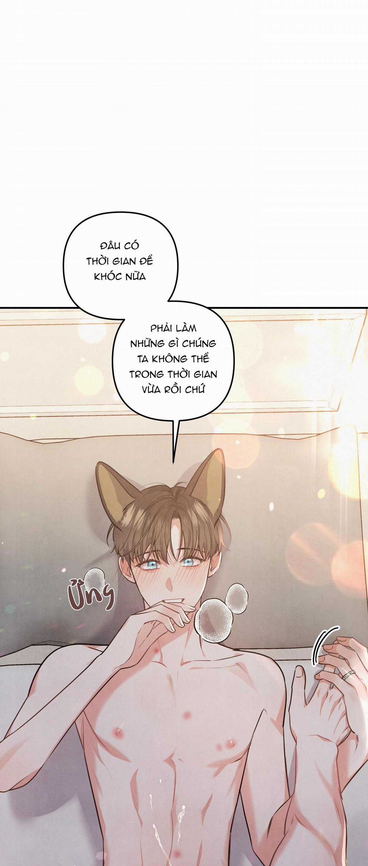 Mối Quan Hệ Giữa Chó Và Cún Chapter 36 trang 37