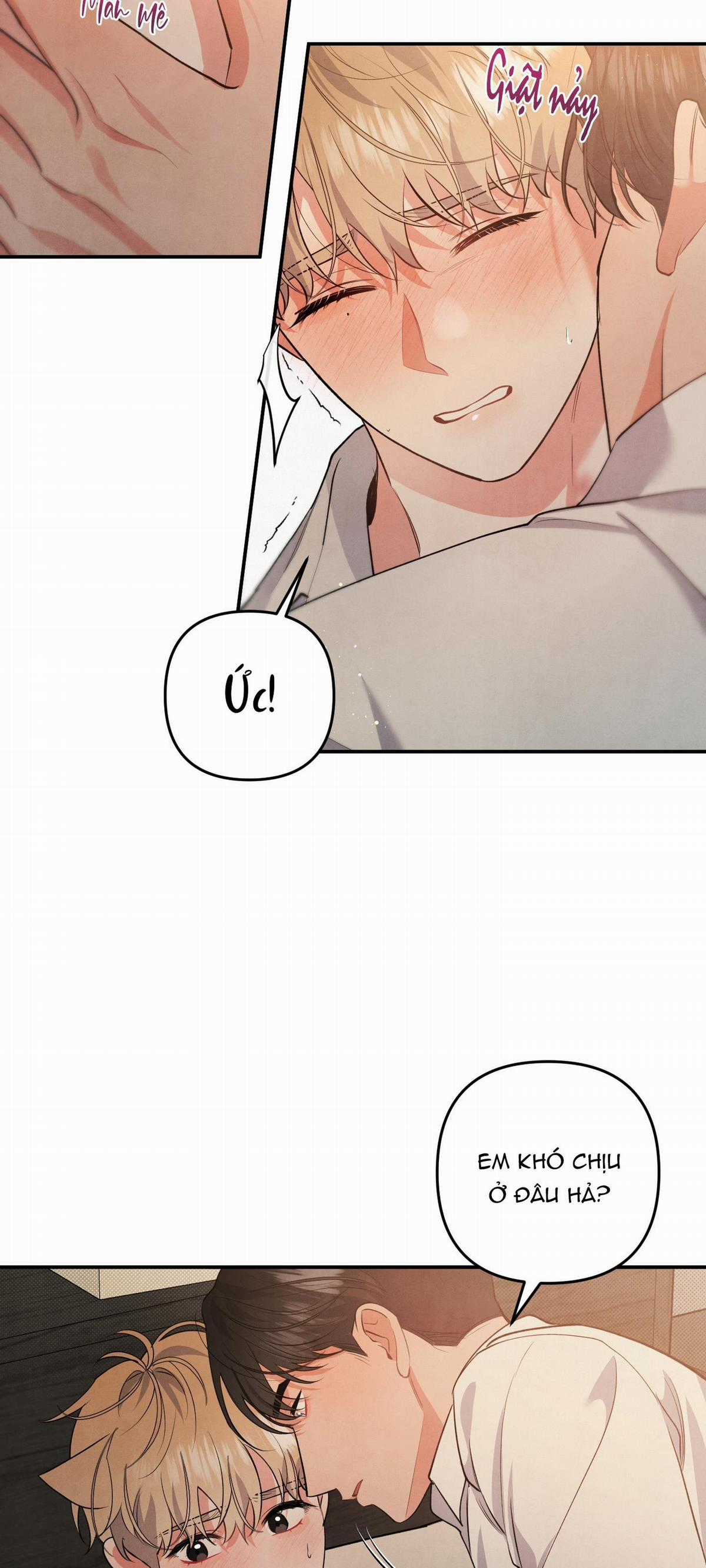 Mối Quan Hệ Giữa Chó Và Cún Chapter 61 trang 31