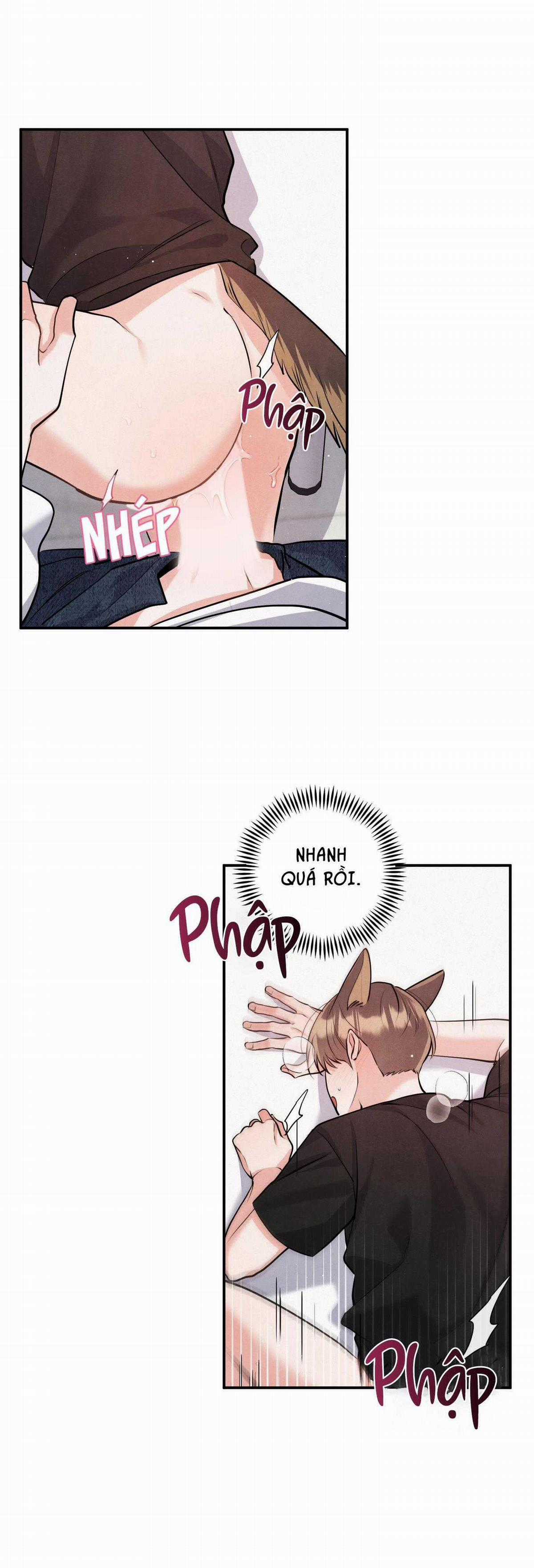 Mối Quan Hệ Giữa Chó Và Cún Chapter 80 trang 24