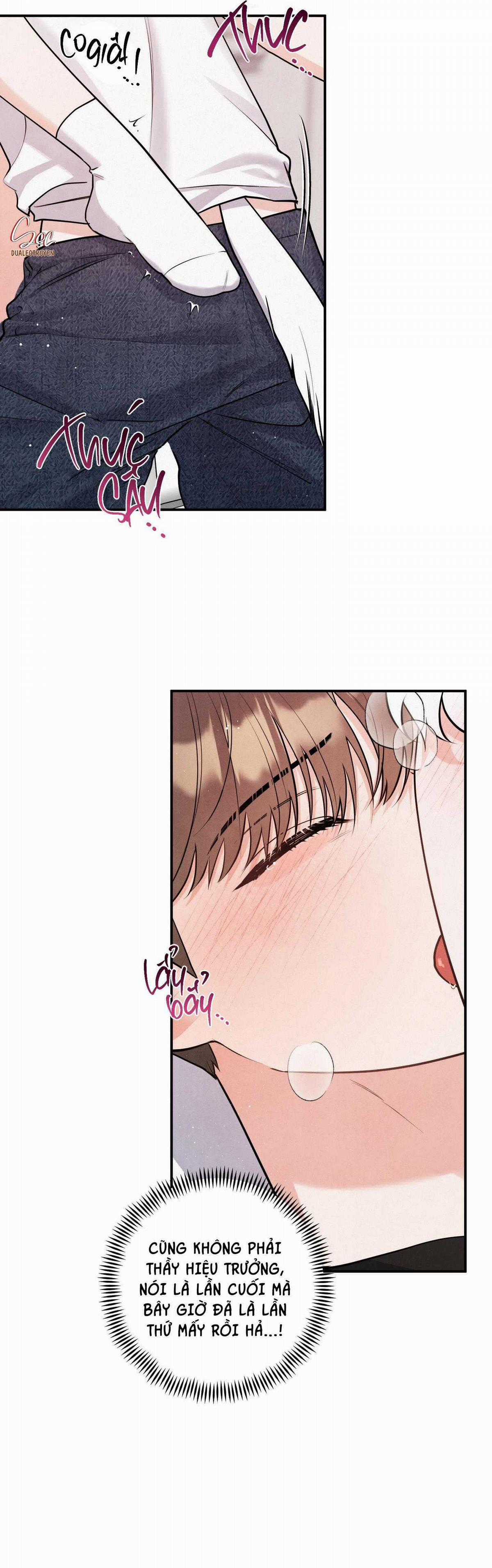 Mối Quan Hệ Giữa Chó Và Cún Chapter 81 trang 13