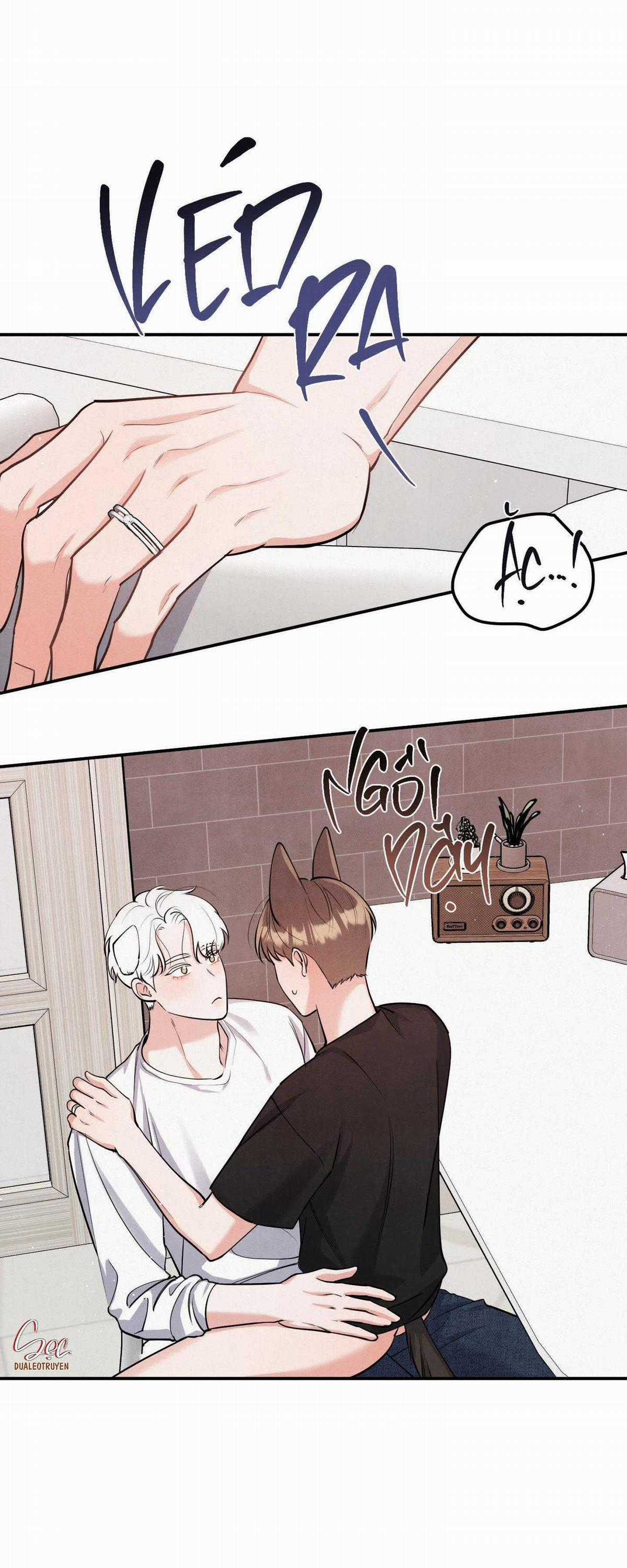 Mối Quan Hệ Giữa Chó Và Cún Chapter 81 trang 16