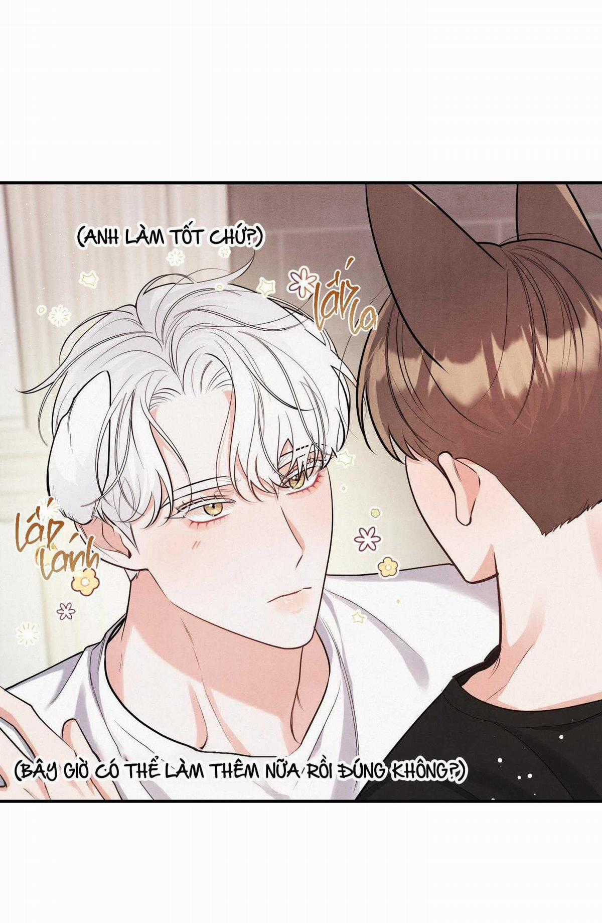 Mối Quan Hệ Giữa Chó Và Cún Chapter 81 trang 17