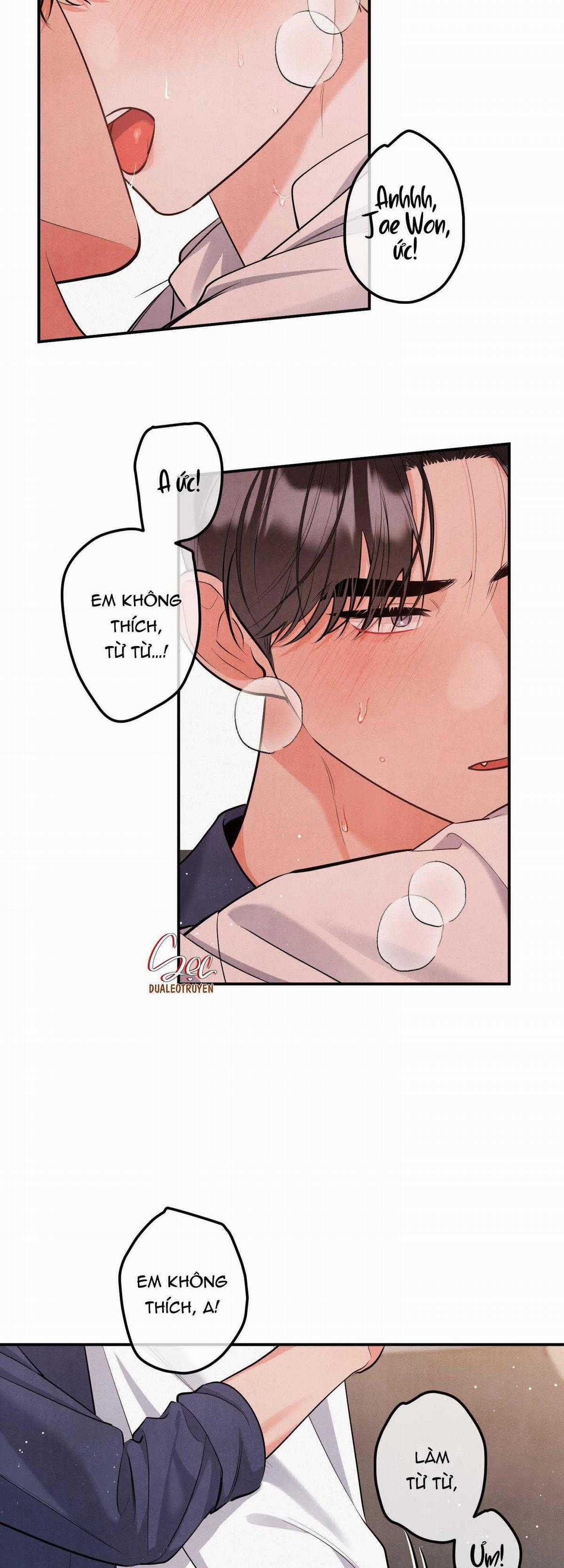Mối Quan Hệ Giữa Chó Và Cún Chapter 86 trang 29