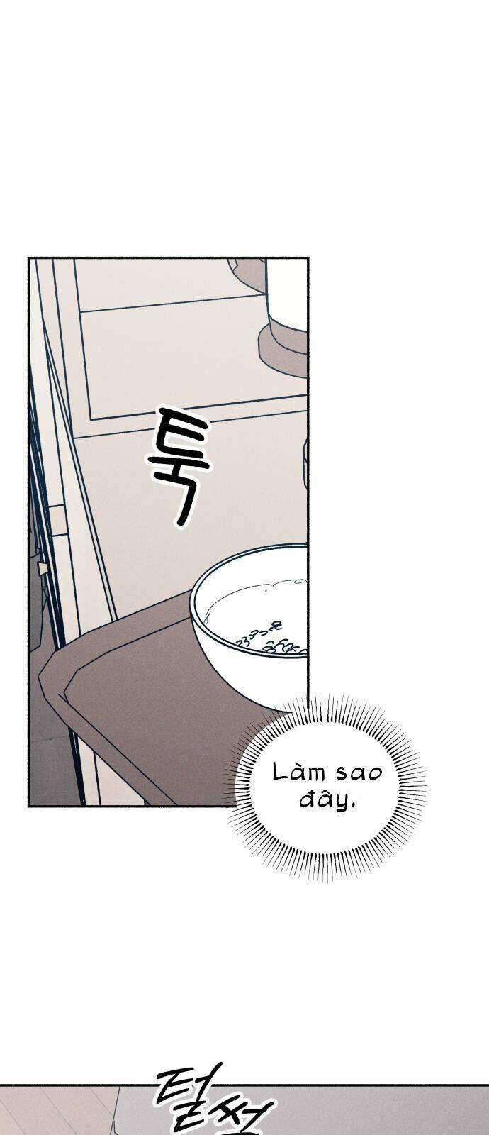 Mối Tình Đầu Đáng Ghét Chapter 31 trang 32