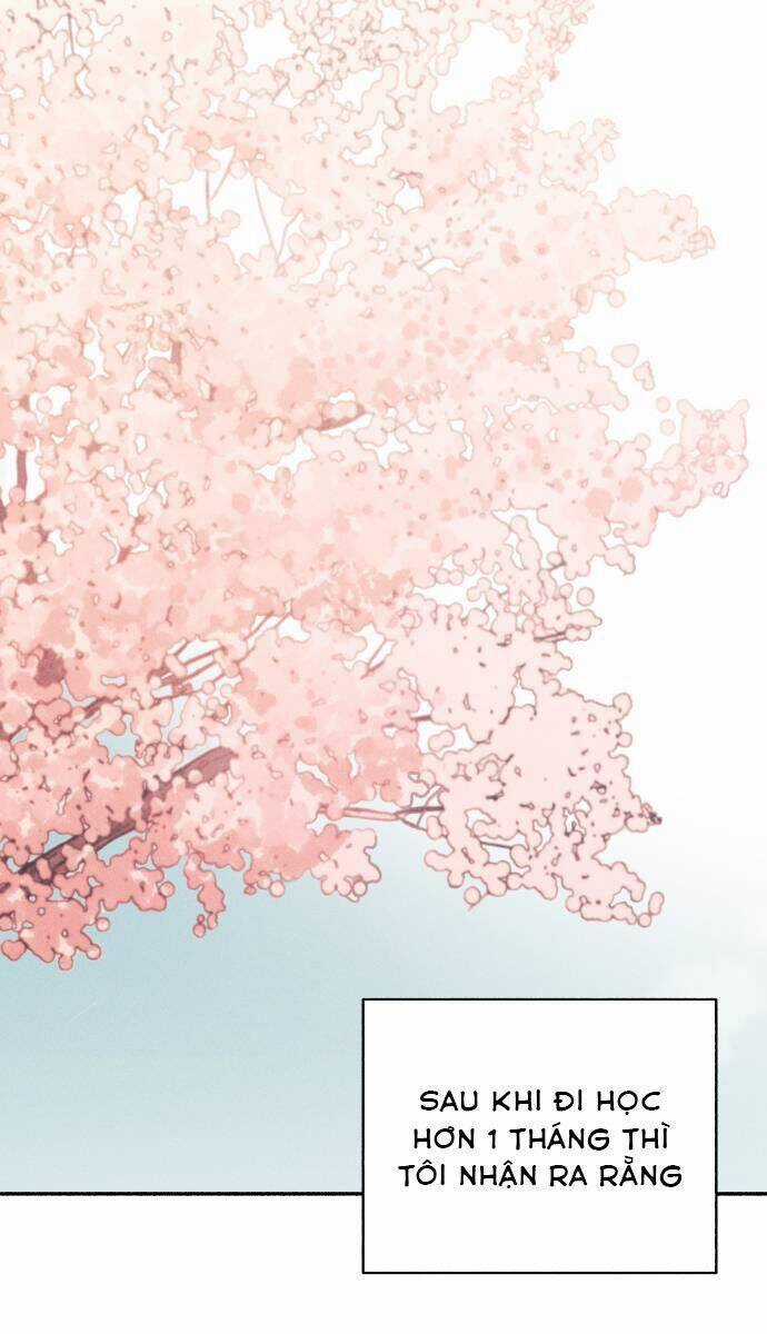 Mối Tình Đầu Đáng Ghét Chapter 33 trang 2