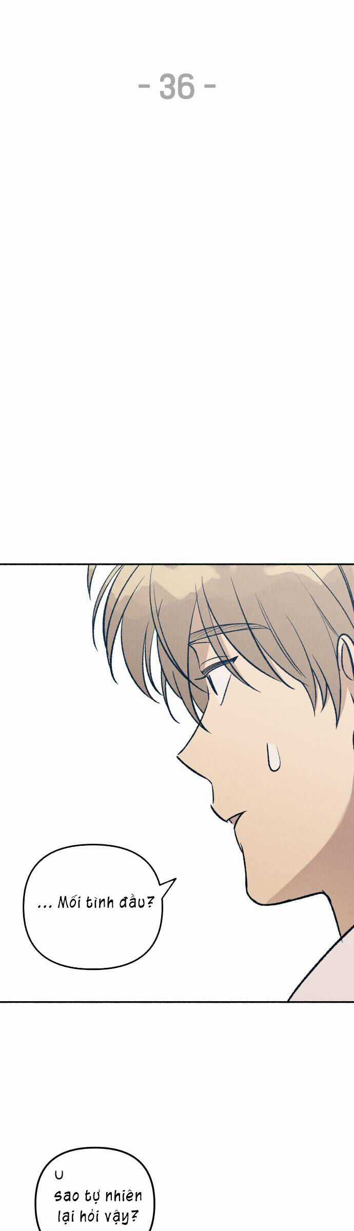 Mối Tình Đầu Đáng Ghét Chapter 36 trang 8