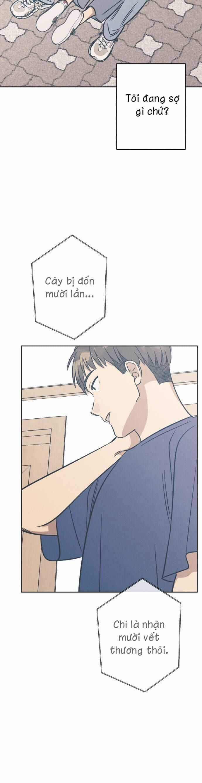 Mối Tình Đầu Đáng Ghét Chapter 58 trang 13