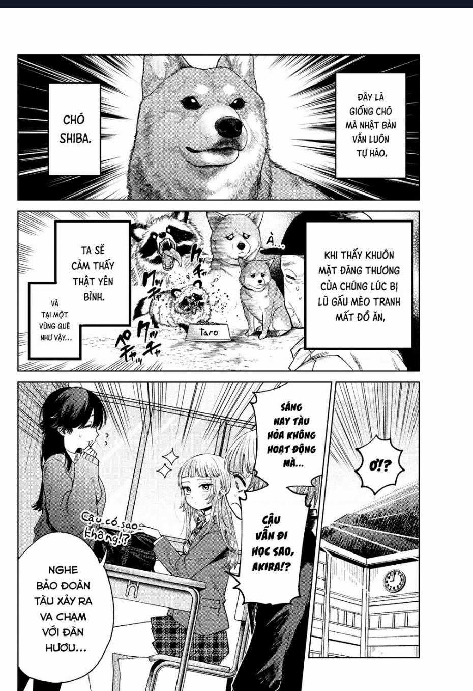 Mối Tình Đầu Đầy Trắc Trở Của Momose Akira Chapter 13 trang 1