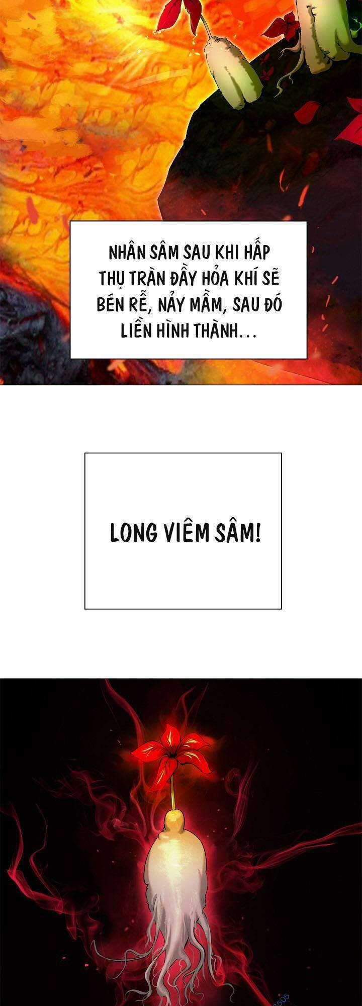 Mối Tình Đêm Trăng Tròn Chapter 114 trang 3