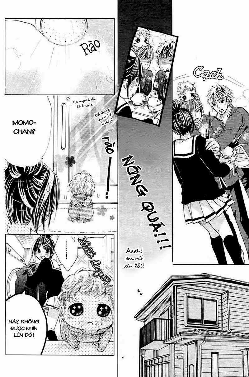 Momo Lover Chapter 1 trang 17