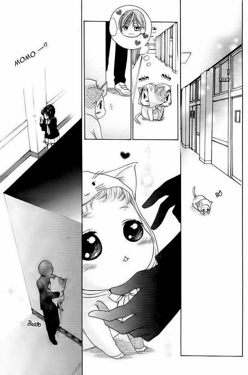 Momo Lover Chapter 2 trang 19