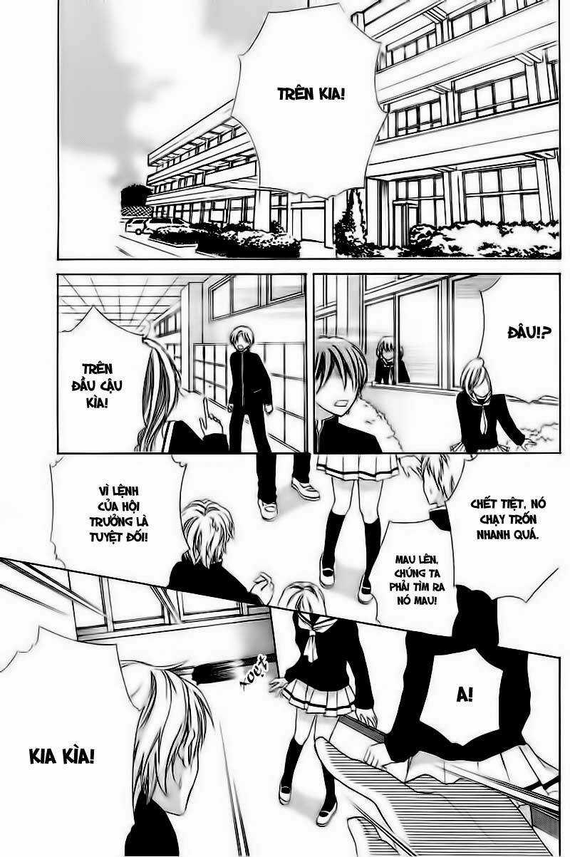 Momo Lover Chapter 2 trang 3