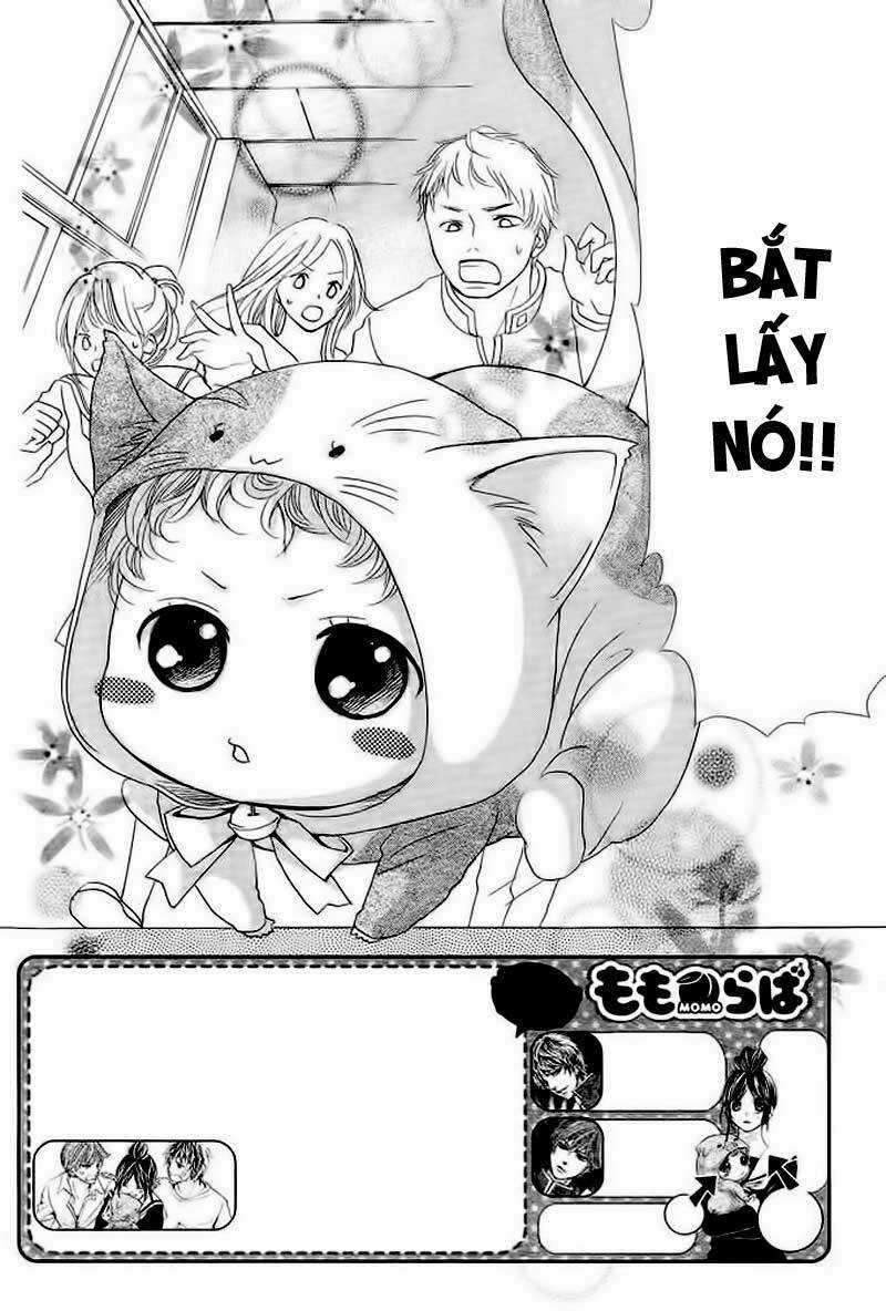 Momo Lover Chapter 2 trang 4
