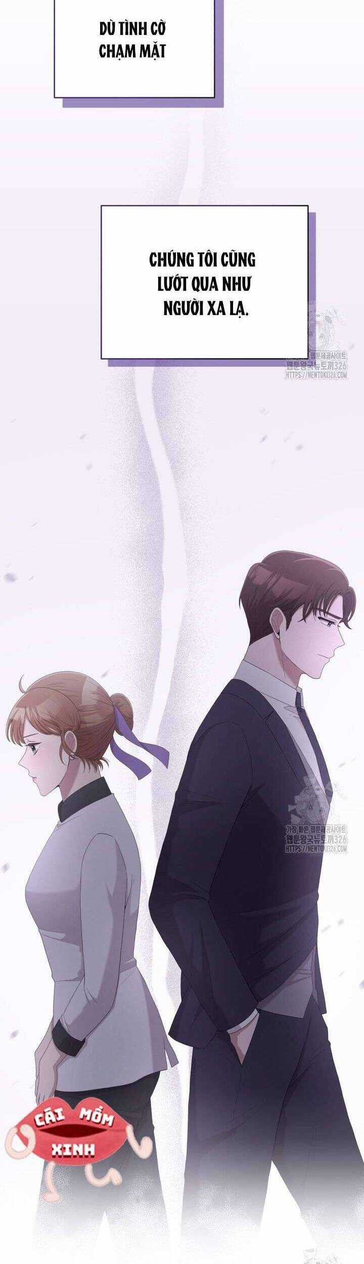 Món Khai Vị Một Đêm Chapter 19 trang 5