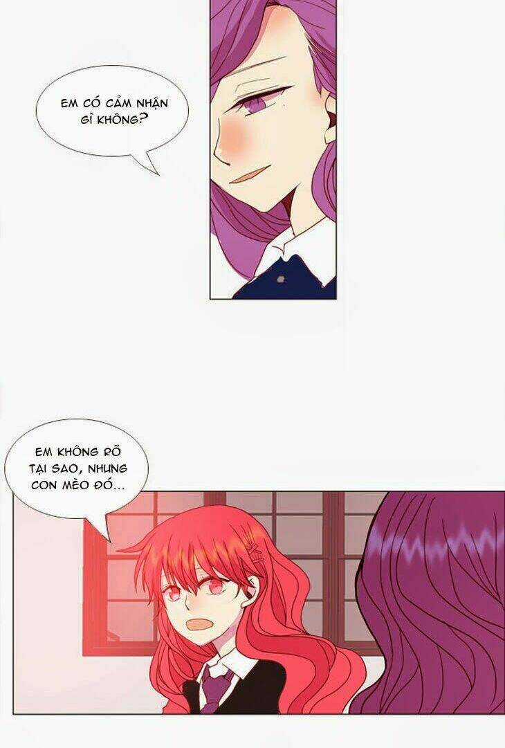 Món quà từ Chúa Chapter 14 trang 20