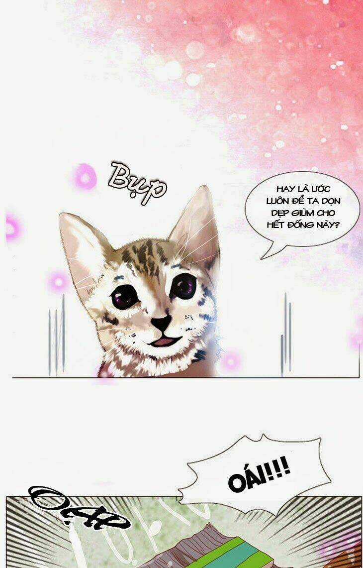 Món quà từ Chúa Chapter 2 trang 19