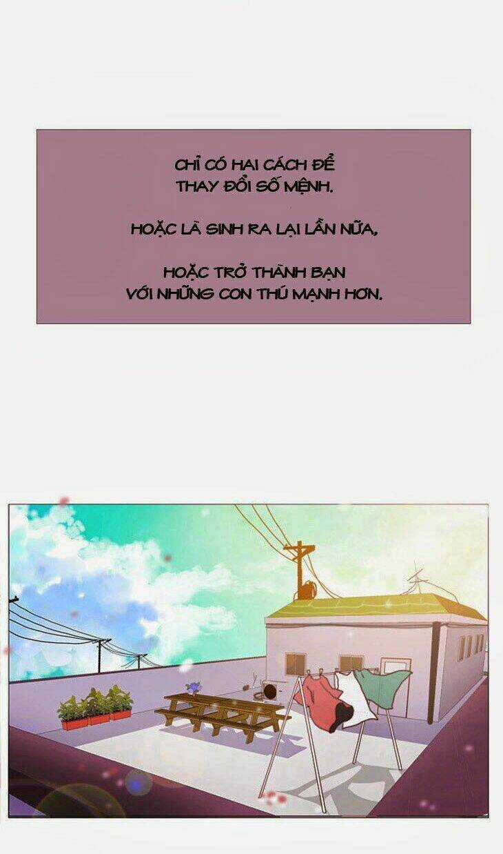 Món quà từ Chúa Chapter 2 trang 32