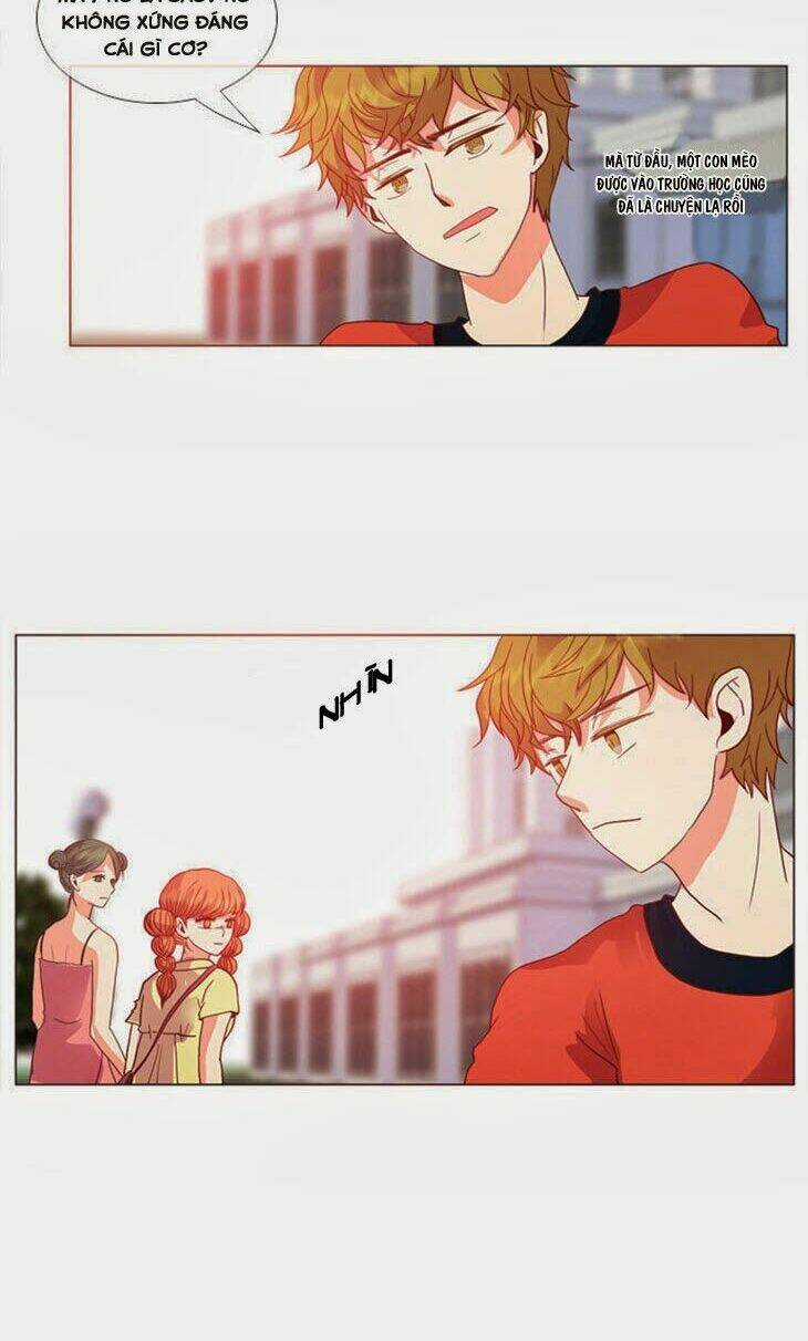 Món quà từ Chúa Chapter 24 trang 11