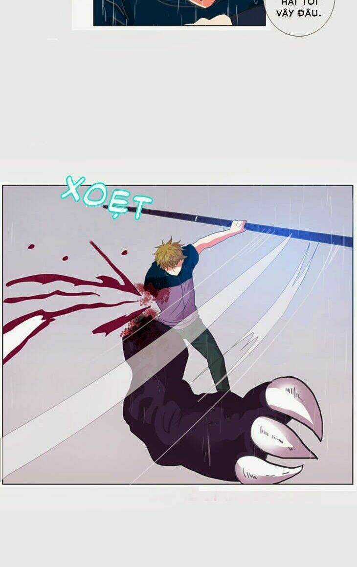 Món quà từ Chúa Chapter 29 trang 24