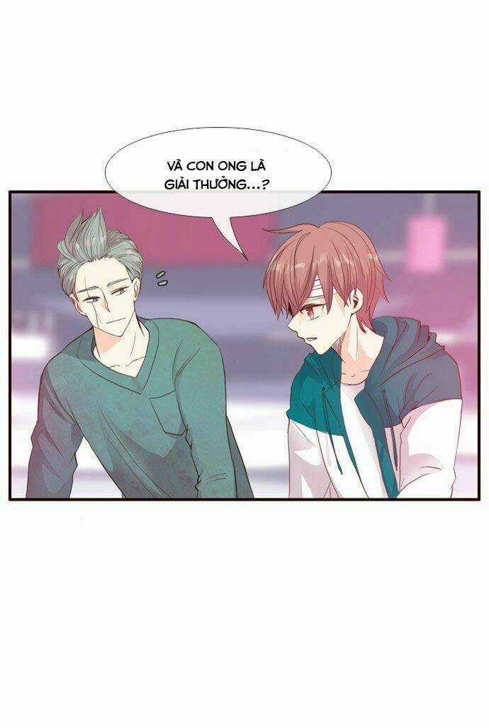 Món quà từ Chúa Chapter 54 trang 4