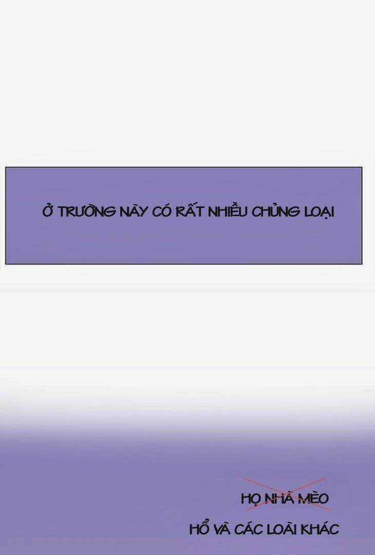 Món quà từ Chúa Chapter 9 trang 39