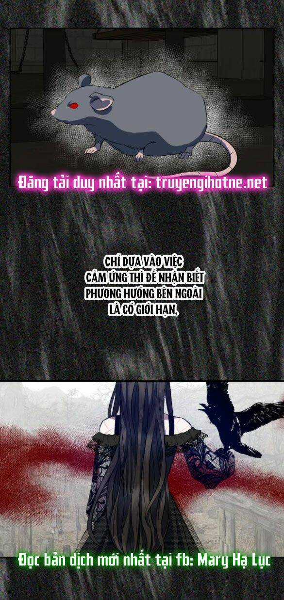 Mong Chờ Giây Phút Thiêng Liêng Được Chạm Tới Người Chapter 13.5 trang 1