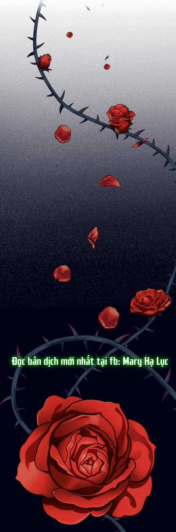 Mong Chờ Giây Phút Thiêng Liêng Được Chạm Tới Người Chapter 25.2 trang 3