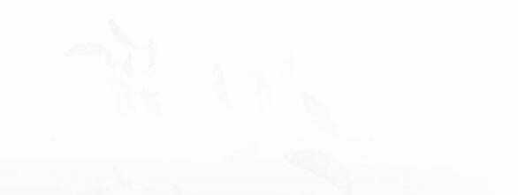 Mong Chờ Giây Phút Thiêng Liêng Được Chạm Tới Người Chapter 46.2 trang 71