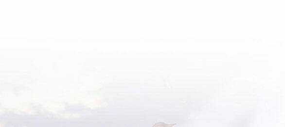 Mong Chờ Giây Phút Thiêng Liêng Được Chạm Tới Người Chapter 47.1 trang 8