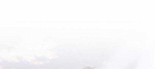 Mong Chờ Giây Phút Thiêng Liêng Được Chạm Tới Người Chapter 48 trang 7