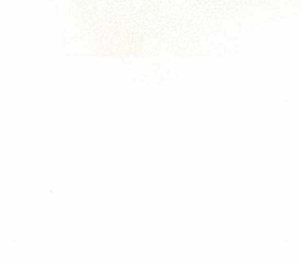 Mong Chờ Giây Phút Thiêng Liêng Được Chạm Tới Người Chapter 49.2 trang 64