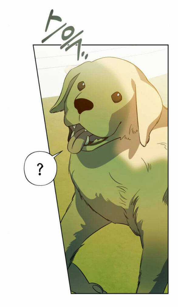 Mong Chờ Giây Phút Thiêng Liêng Được Chạm Tới Người Chapter 55.1 trang 13