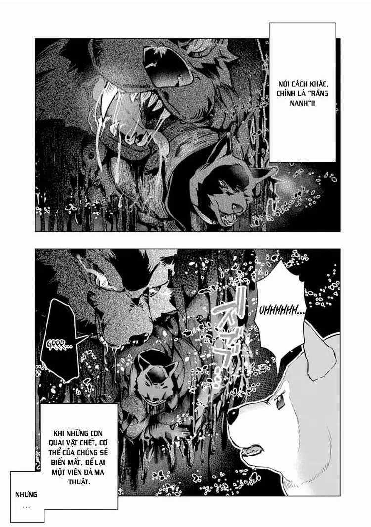 Monster Ga Afureru Sekai Ni Natta Node Suki Ni Ikitai To Omoimasu Chapter 24 trang 8
