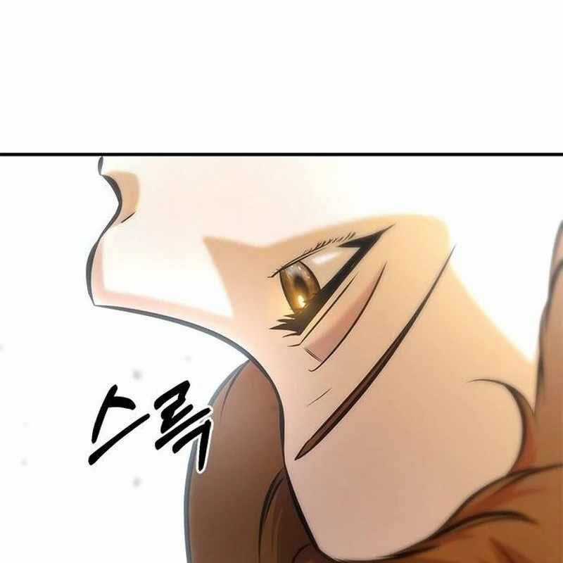 Một Anh Hùng Giỏi Mọi Thứ Chapter 15 trang 13