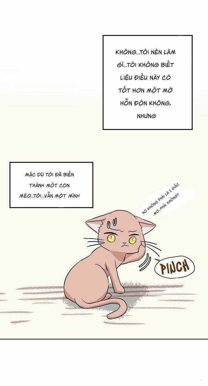 Một Cuộc Sống Kỳ Lạ Chapter 1 trang 46