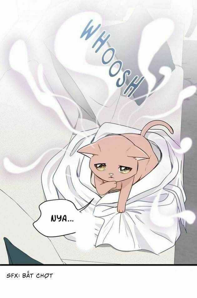 Một Cuộc Sống Kỳ Lạ Chapter 2 trang 38