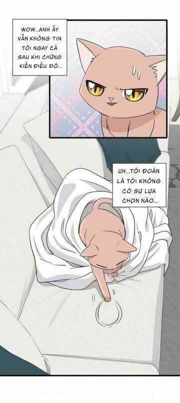 Một Cuộc Sống Kỳ Lạ Chapter 2 trang 42