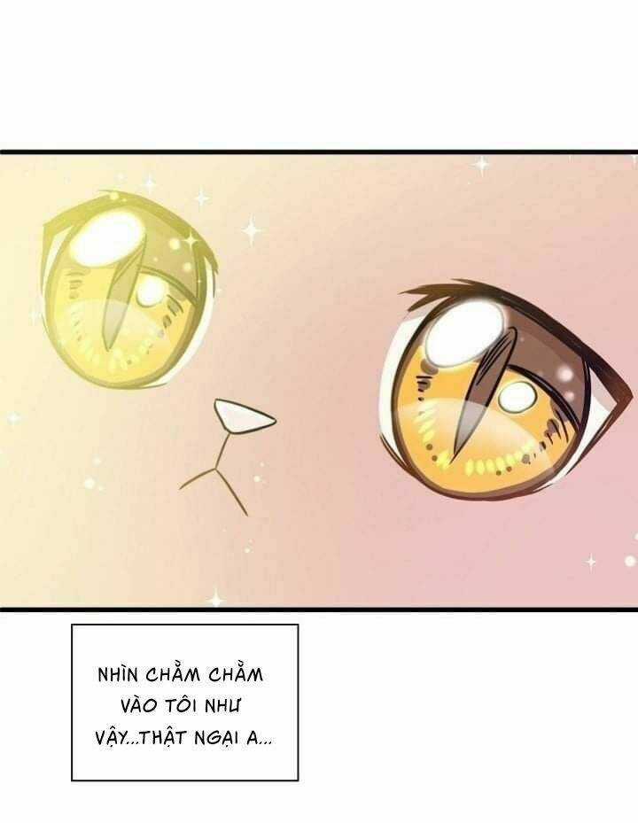 Một Cuộc Sống Kỳ Lạ Chapter 2 trang 49