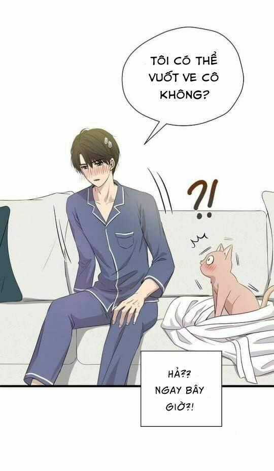 Một Cuộc Sống Kỳ Lạ Chapter 2 trang 51