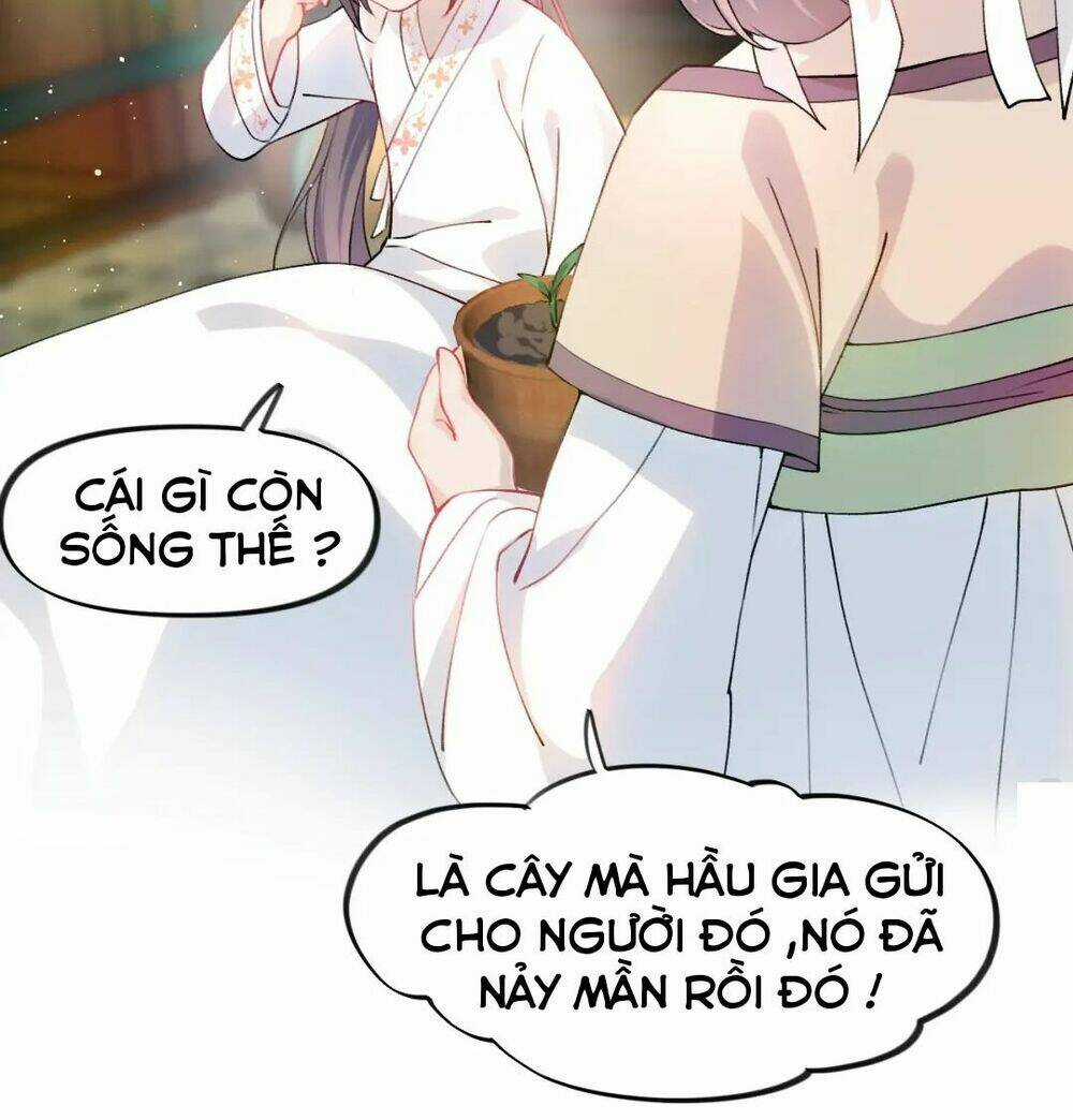 MỘT ĐÊM BỆNH KIỀU ĐỘT NHIÊN TỚI Chapter 11 trang 28