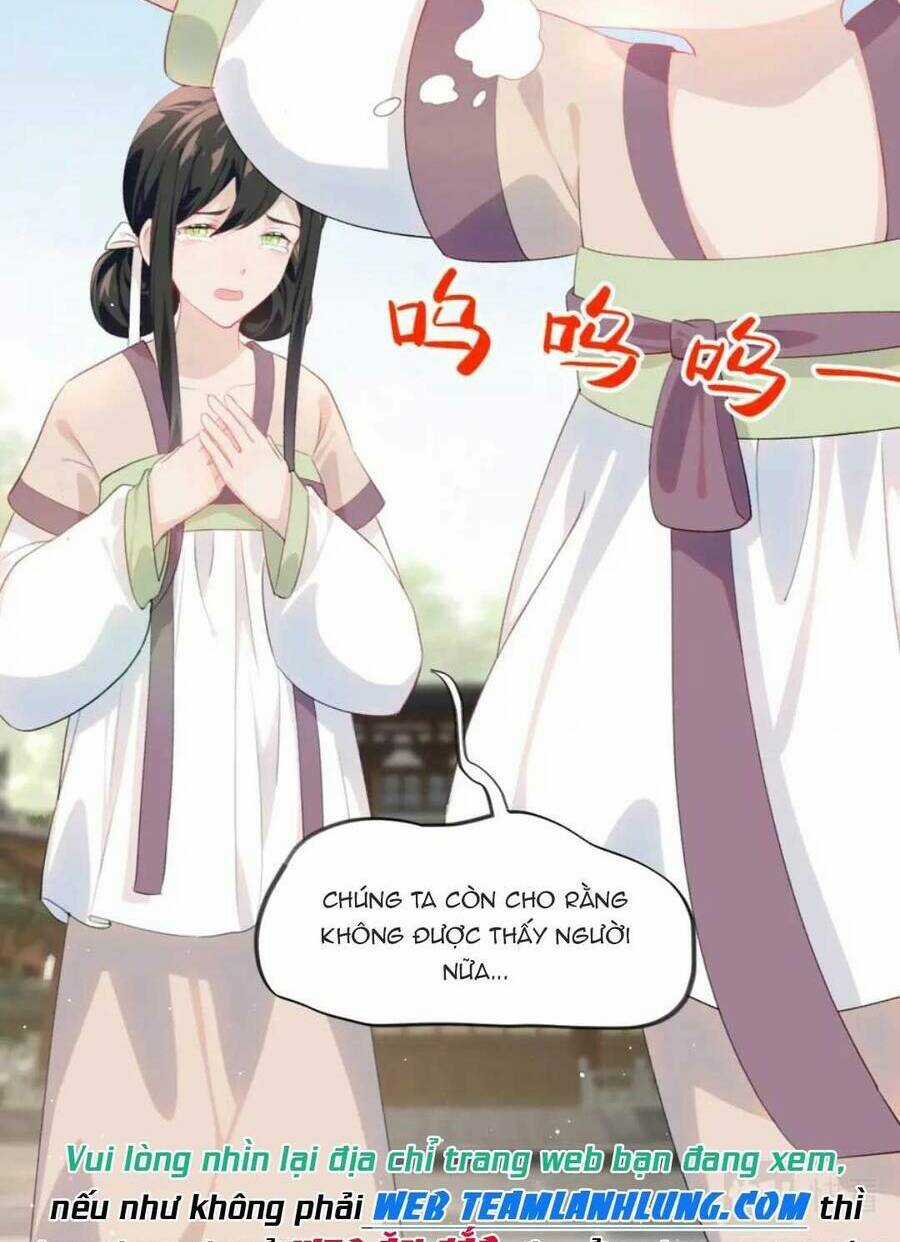 MỘT ĐÊM BỆNH KIỀU ĐỘT NHIÊN TỚI Chapter 126 trang 42