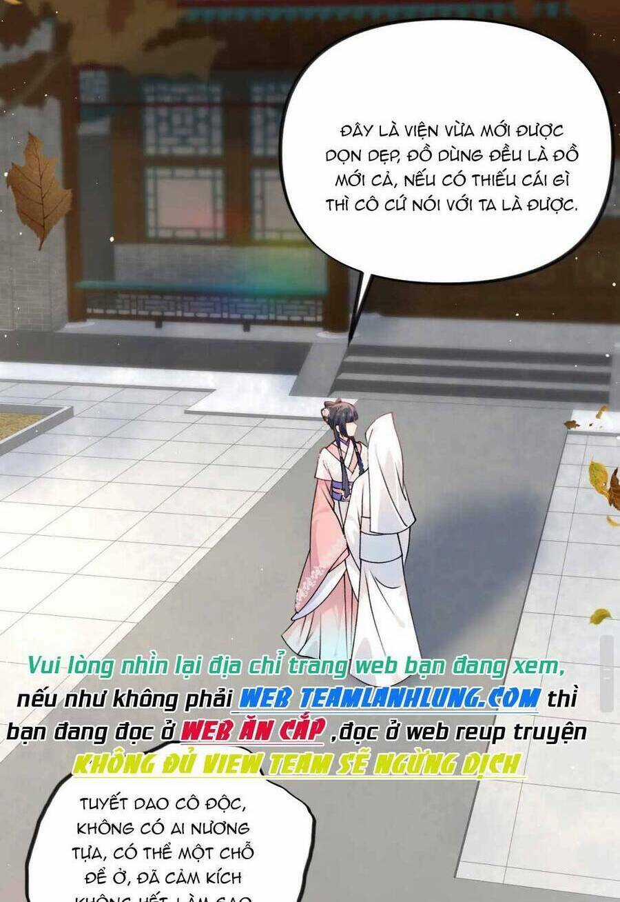 MỘT ĐÊM BỆNH KIỀU ĐỘT NHIÊN TỚI Chapter 141 trang 49