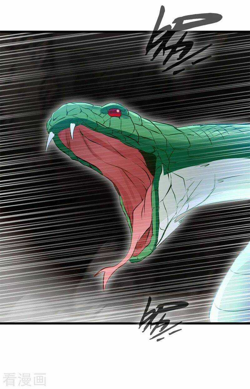 Một Đời Thành Tiên Chapter 74 trang 11