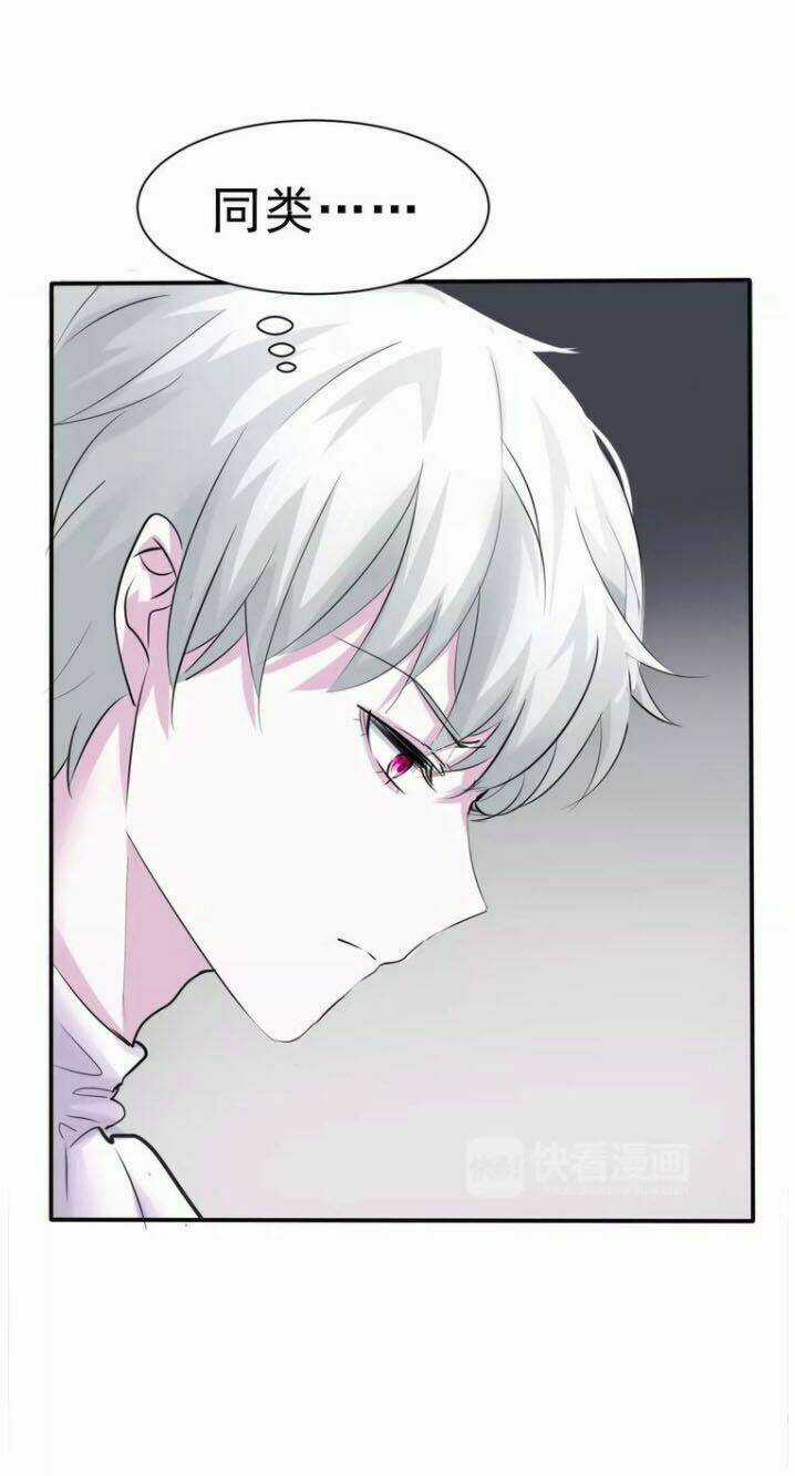 Một Lời Không Hợp Liền Hút Máu Chapter 5 trang 51