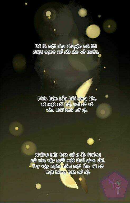 Một Ngàn Cánh Hoa Chapter 0 trang 2