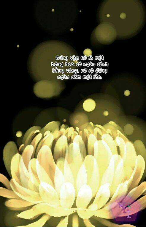 Một Ngàn Cánh Hoa Chapter 0 trang 4