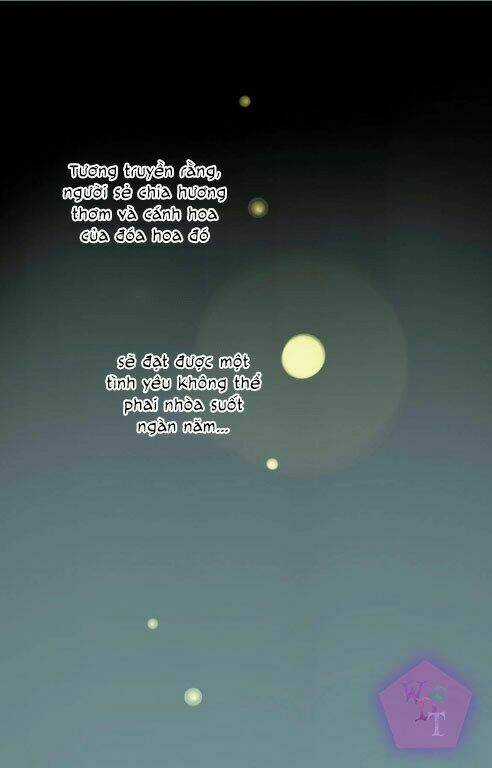 Một Ngàn Cánh Hoa Chapter 0 trang 6