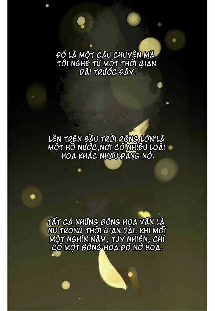 Một Ngàn Cánh Hoa Chapter 1 trang 3
